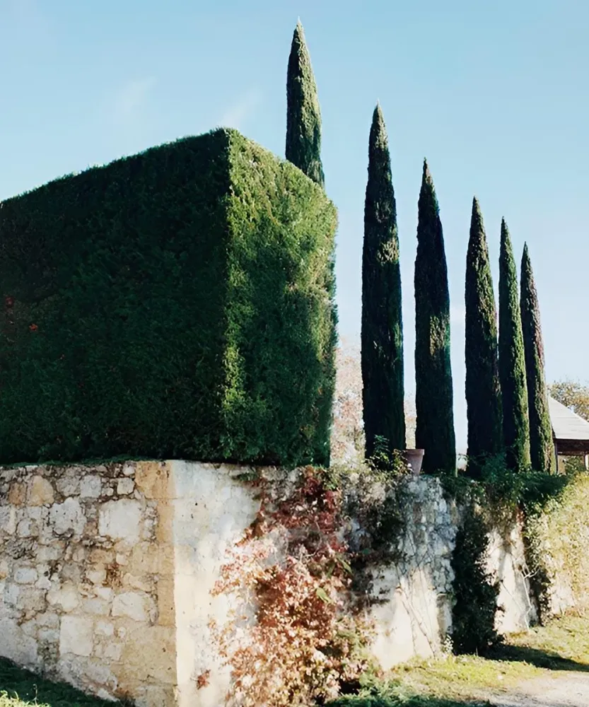 Patrimoine arboré à Cassaigne